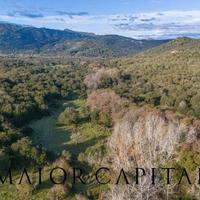 Padru | Terreno agricolo di 35 ettari tra Olbia e