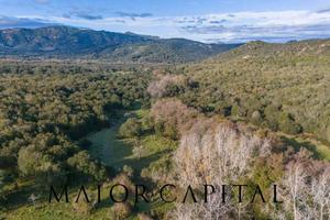Padru | Terreno agricolo di 35 ettari tra Olbia e