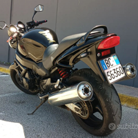Honda x11 eleven