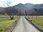 Immagine 12