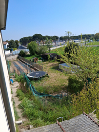 Vendita terreno e rustico