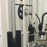 Gluteus machine professionale Fassi