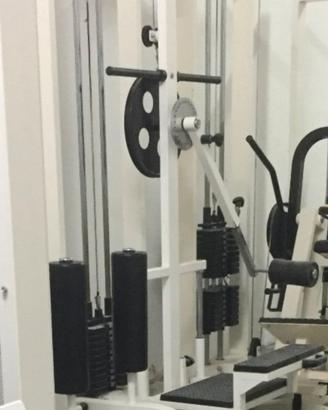 Gluteus machine professionale Fassi