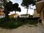 Immagine 24