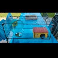 Tartarughiera zolux + accessori 