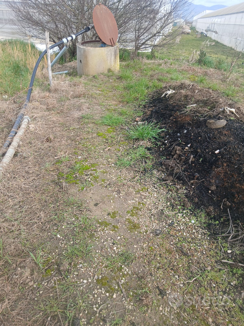 Terreno agricolo seminativo - Vista 6