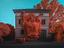 Immagine 6