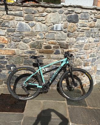Bianchi JAB 29