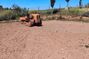 Trattore 311