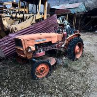 Trattore Fiat per appassionati
