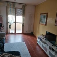 Bicamere biservizi ultimo piano arredato