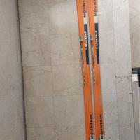 Aste Sci Wolky Mountain Skin Clip 170cm 1180gr