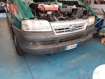 Autocarro Fiat usato