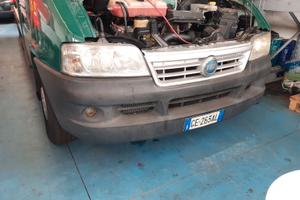 Autocarro Fiat usato