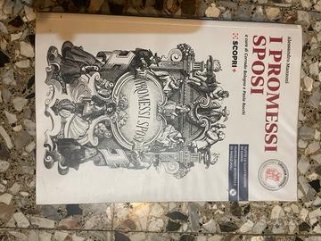 i promessi sposi