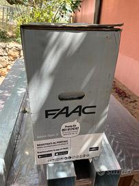 Faac automazione Delta 2