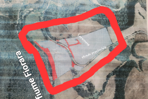 Terreno maremma tosco laziale