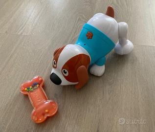 Cucciolo balla e si agita con osso