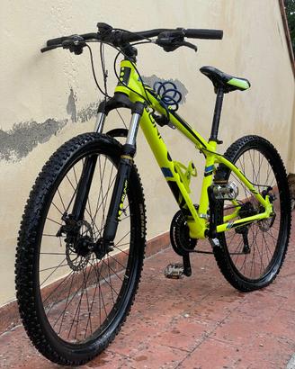 Mountain bike