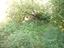 Immagine 27