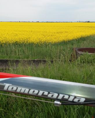 Bici da Corsa Torpado Temeraria