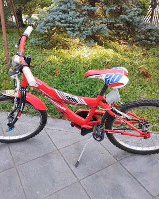 Bicicletta bambino Regina 20