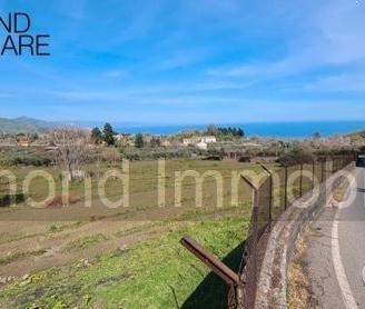 Terreno 15.000 mq a piedimonte etneo