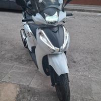 Honda SH 300. Targa polacca