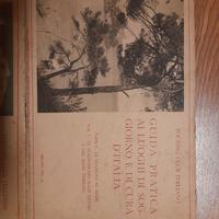 Guida Pratica ai Luoghi di Cura e Soggiorno D'Ital