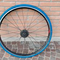 cerchio posteriore bdc strada rulli