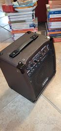 Cassa acustica amplificata Laney