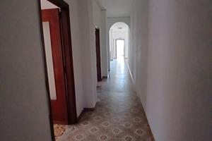 Vendita appartamento