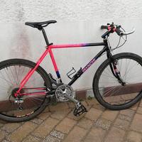 MTB Bianchi Cougar anno 1983