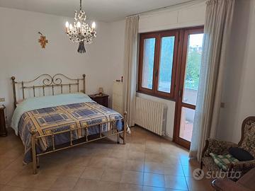 Pisa centrale camera singola per ragazza