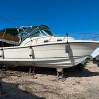 Pursuit 2870 WA, Fisherman americano.