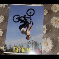 2 Quaderni sia a righe che quadretti a soli 1