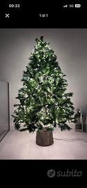 Albero