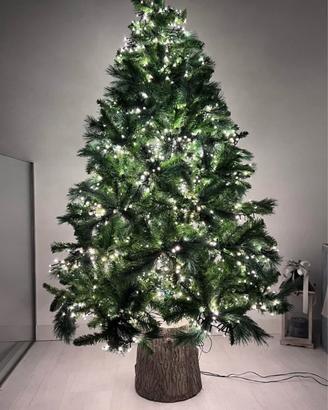 Albero