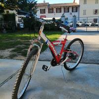 bicicletta mtb