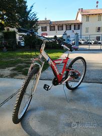 bicicletta mtb