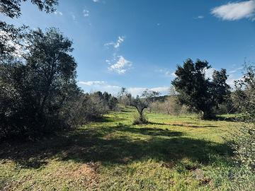 Angolo di tranquillità