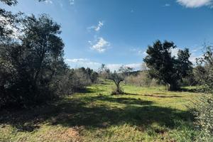 Angolo di tranquillità