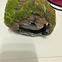 Grotta Relitto nascondiglio per acquario pesce