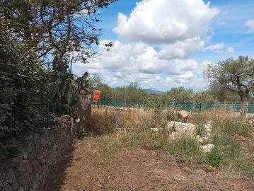 S.V. Pischina Ruia-Terreno uliveto con Casa C2