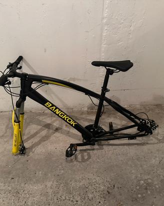 Telaio bici