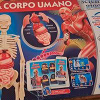 gioco il corpo umano
