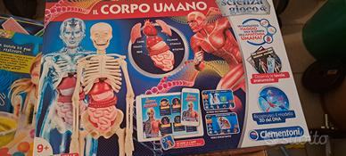 gioco il corpo umano