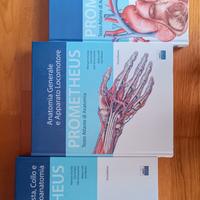 Prometheus Atlante Anatomia - 3 Volumi