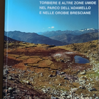 Torbiere e altre zone umide
