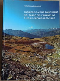Torbiere e altre zone umide